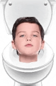 Sheldon Toilet GIF