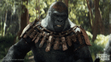 Cheering Kingdom Of The Planet Of The Apes GIF - Cheering Kingdom Of The Planet Of The Apes Let'S Go GIFs