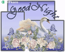 Good Night Gifkaro GIF - Good Night Gifkaro Swan GIFs