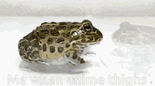 Thighs Animethighs GIF - Thighs Animethighs Frogs GIFs
