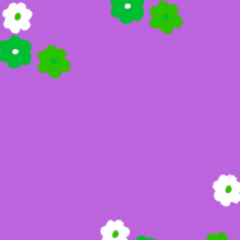a purple background with green and white flowers and the words " i 'm sorry "