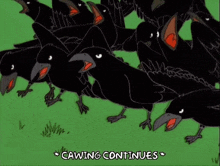 Caw Cawing GIF