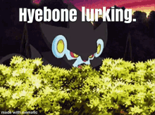 Hyebone Luxray GIF - Hyebone Luxray Lurking GIFs