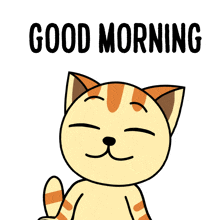 Purrlene The Cat Good Morning GIF - Purrlene The Cat Good Morning Good Morning Cat GIFs
