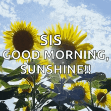 Sun Flower GIF - Sun Flower Sky GIFs