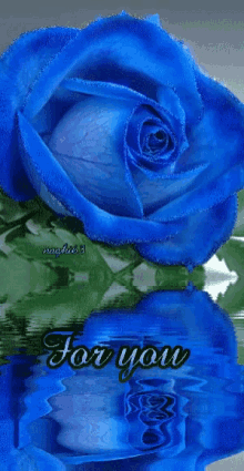 Blue Rose GIF