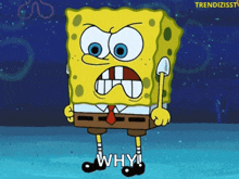 a cartoon of spongebob saying " why " in a blue background