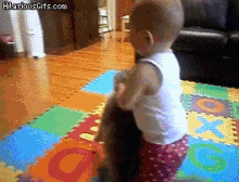 Lol Cat GIF - Lol Cat Playing With The Cat GIFs
