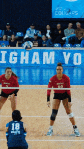 Volley GIF - Volley GIFs