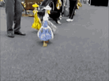 March Forth Spring GIF