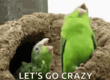 Party Time Lets Go Crazy GIF