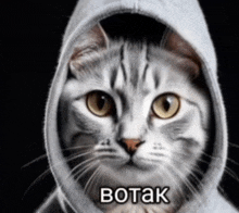 a cat is wearing a white hoodie with the word botak on it