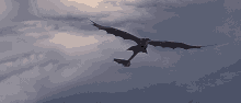 Httyd Flying GIF - Httyd Flying Toothless GIFs