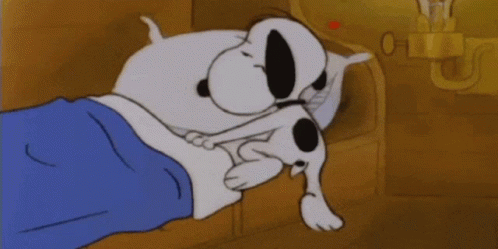 Snoopy Sleeping GIFs | Tenor