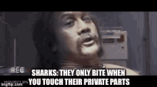 Sharks 50first Dates GIF - Sharks 50first Dates They Only Bite When You Touch Their Private Parts GIFs