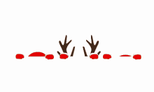 reindeer christmas