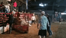buck off rodeo bull