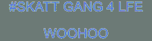 Skatt Gang4lfe Woohoo GIF - Skatt Gang4lfe Woohoo Text GIFs