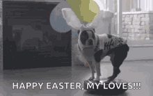 Happy Easter Dog GIF - Happy Easter Dog Easter Bunny GIFs