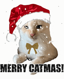 Merry Catmas Christmas Cat GIF