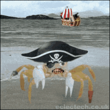 pirate crab talk like a pirate day ar talk like a pirate international talk like a pirate day