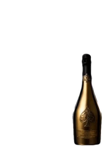 Champagne Spray Sticker - Champagne Spray Celebrate Stickers
