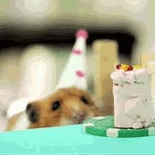 Still My Birthday GIF - Hamster Cake Birthday GIFs