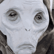 a close up of a person 's face that looks like an alien