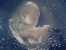 a picture of a baby in the womb with a blue background