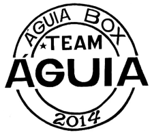 aguia box team aguia2015 eagle logo