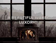 Blustery Weather GIF - Blustery Weather Fall GIFs