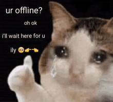 I Love You When You Are Offline GIF - I Love You When You Are Offline GIFs