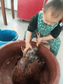 Working Serious GIF - Working Serious Feathers GIFs