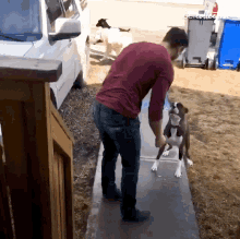 a man in a red shirt is walking a dog on a sidewalk