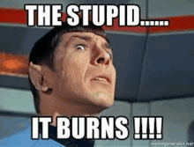 Spock Stupid GIF - Spock Stupid Disbelief GIFs