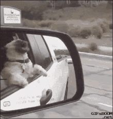 Dog Car GIF - Dog Car Flail GIFs