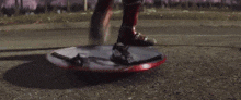 a blurry picture of a person holding a shield in front of a field of pink flowers .