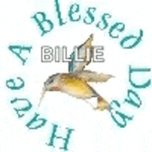 Blessed Day GIF - Blessed Day GIFs