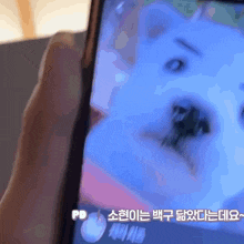 a person is holding a cell phone with a picture of a polar bear on it