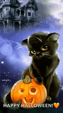 a black cat is sitting on top of a carved pumpkin with the words happy halloween written below it