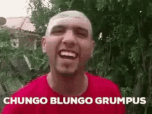 Chungo Blungo GIF - Chungo Blungo GIFs