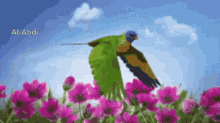 Fly GIF - Fly GIFs