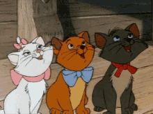 Cats Yes GIF - Cats Yes Nod GIFs
