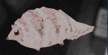 a pixelated image of a sea shell with a blurred background