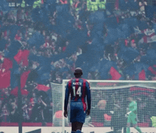 a soccer player with mateta 14 on his back stands in front of a crowd