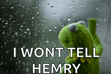 kermit the frog looking out a window with the words i won t tell hemry