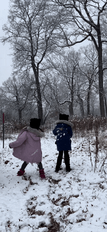 Snowball Fight Snowing GIF