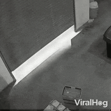 A Man Expertly Rolls Under A Closing Gate Viralhog GIF - A Man Expertly Rolls Under A Closing Gate Viralhog A Man Skillfully Rolls Under The Gate As It Closes GIFs