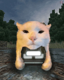 a white cat is holding a device that says ' g ' on it