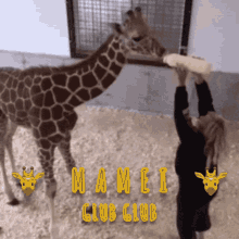 Girafa Mamei GIF - Girafa Mamei Amei GIFs